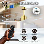 Mollywood Ceiling Fan