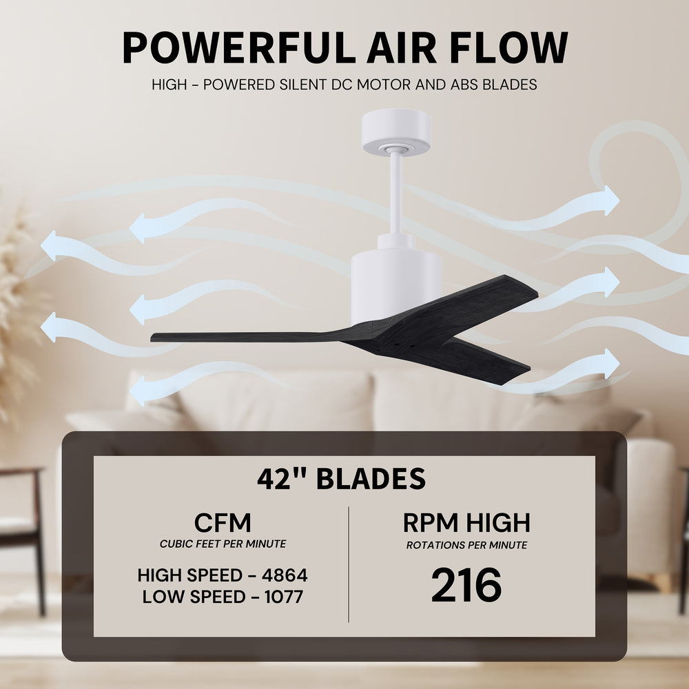 Mollywood Ceiling Fan