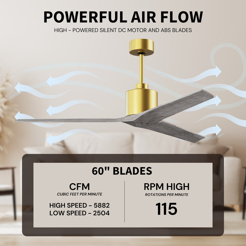 Mollywood Ceiling Fan