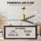 Mollywood Ceiling Fan