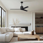 Mollywood Ceiling Fan