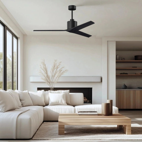 Mollywood Ceiling Fan