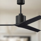 Mollywood Ceiling Fan