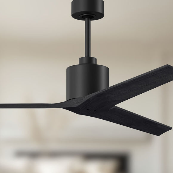 Mollywood Ceiling Fan