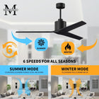 Mollywood Ceiling Fan