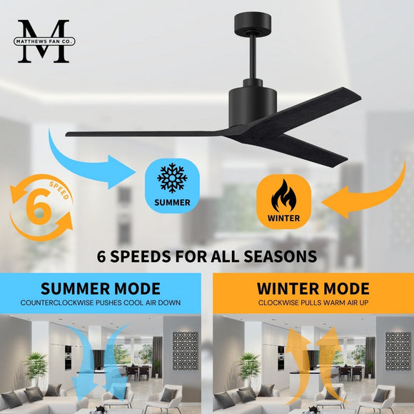 Mollywood Ceiling Fan