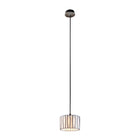 Curvas Pendant Light