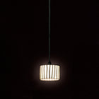 Curvas Pendant Light