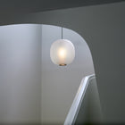 Bloom Pendant Light