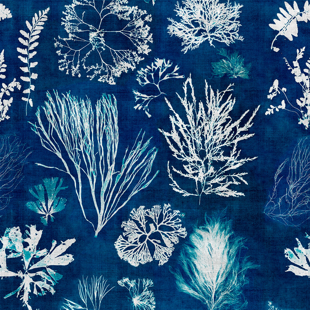 Algae Wallpaper Sample Swatch