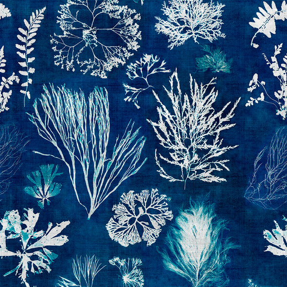 Algae Wallpaper Sample Swatch