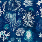 Algae Wallpaper