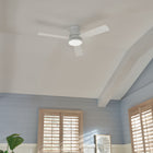 Trey Outdoor Flush Mount LED Ceiling Fan