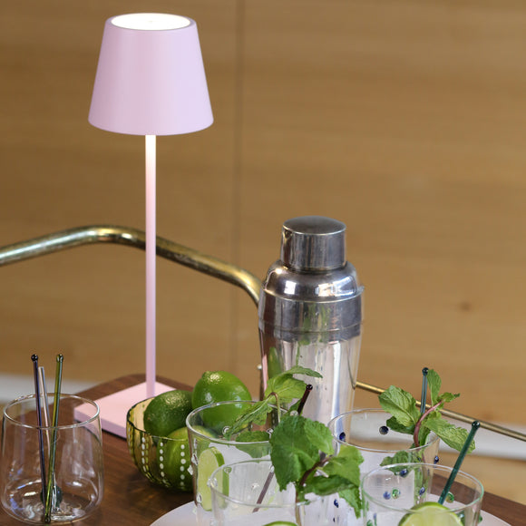Poldina Pro Portable Table Lamp