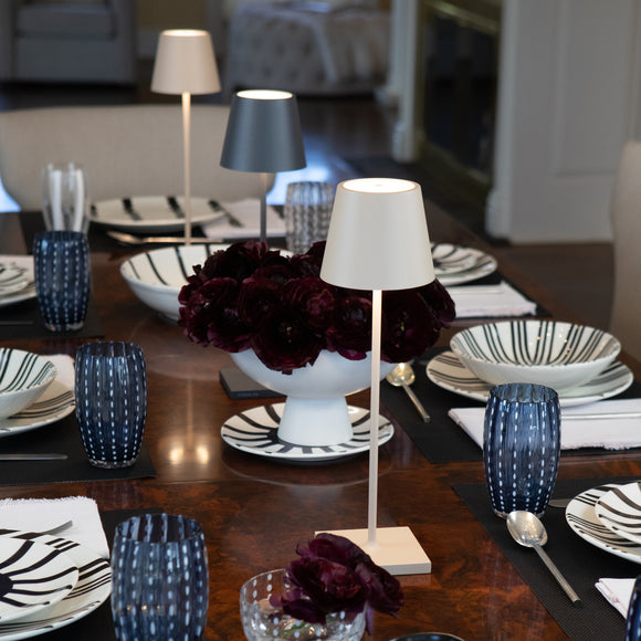 Poldina Pro Portable Table Lamp