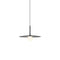 Tempo Pendant Light  option Graphite Disc