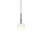 Tempo Pendant Light  option Graphite Small Oval