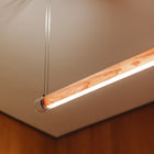 Estela LED Suspension Light