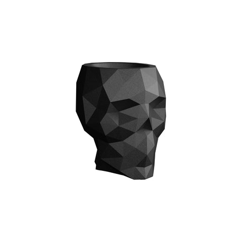 Skull Nano Planter