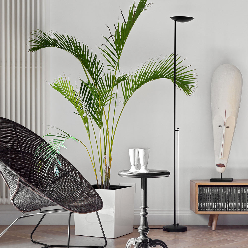 Icons P-1129 Floor Lamp