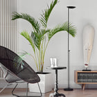 Icons P-1129 Floor Lamp