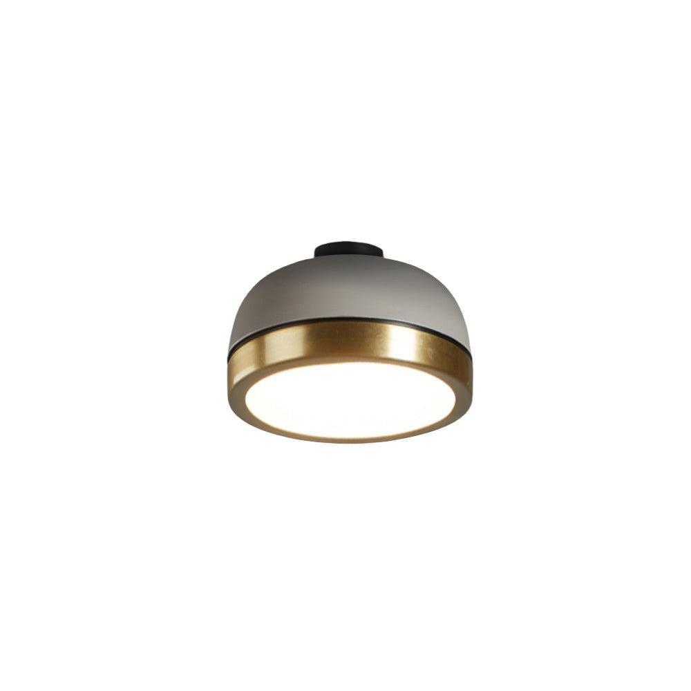 Molly LED Wall/Ceiling Light
