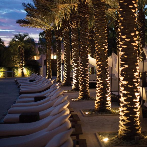 Hardy Island Flat Top Outdoor Well Light