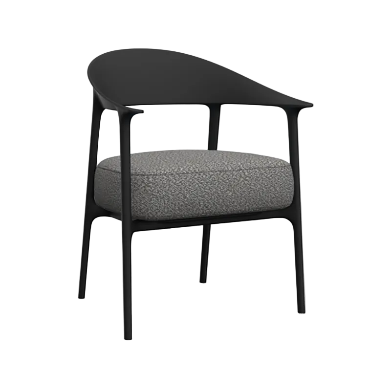 Africa Upholstered Outdoor Dining Armchair (Set of 2)