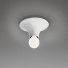 Teti Wall / Ceiling Light