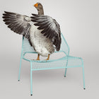 Hot Mesh Lounge Chair