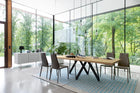 Aida Chair
