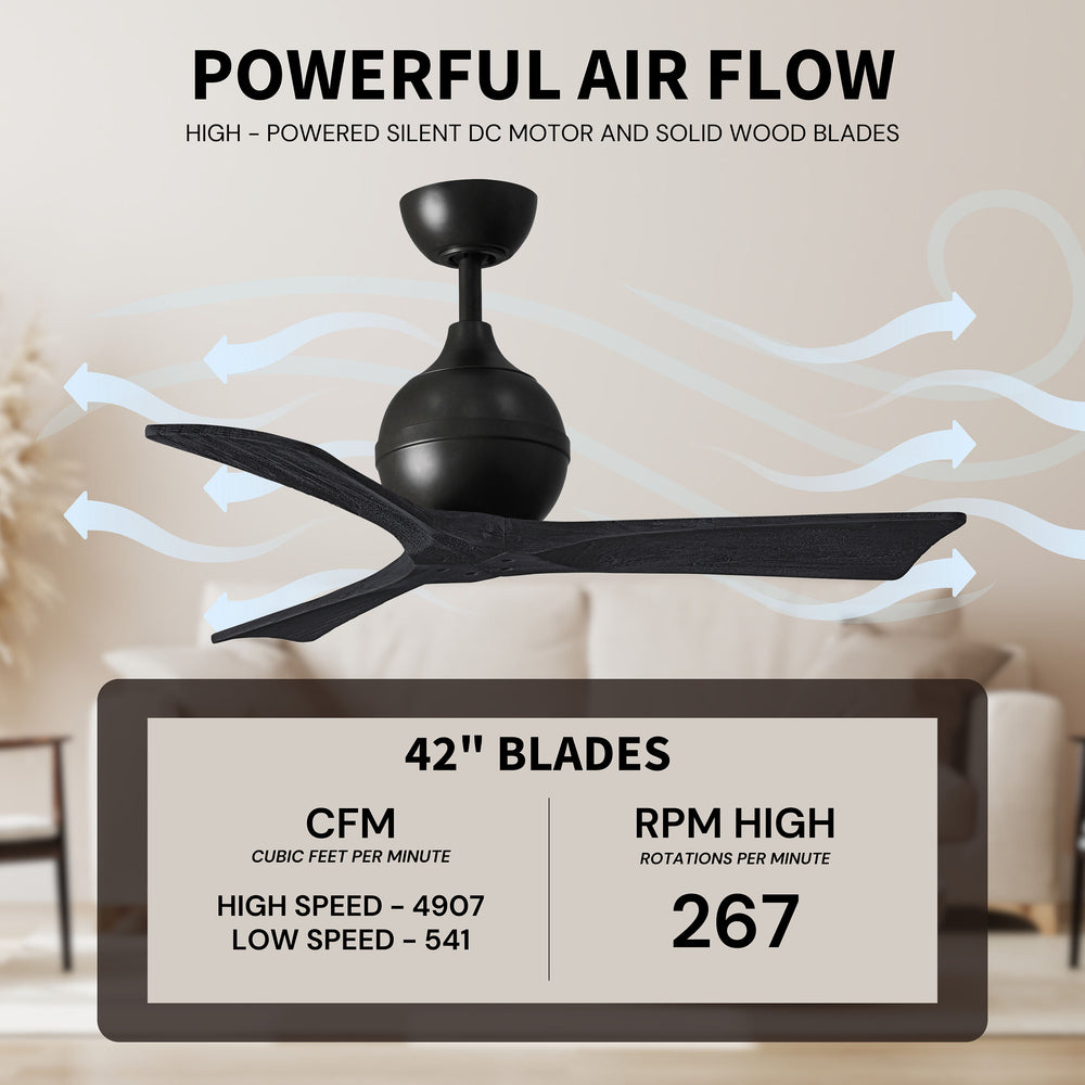 Irene 3 Ceiling Fan