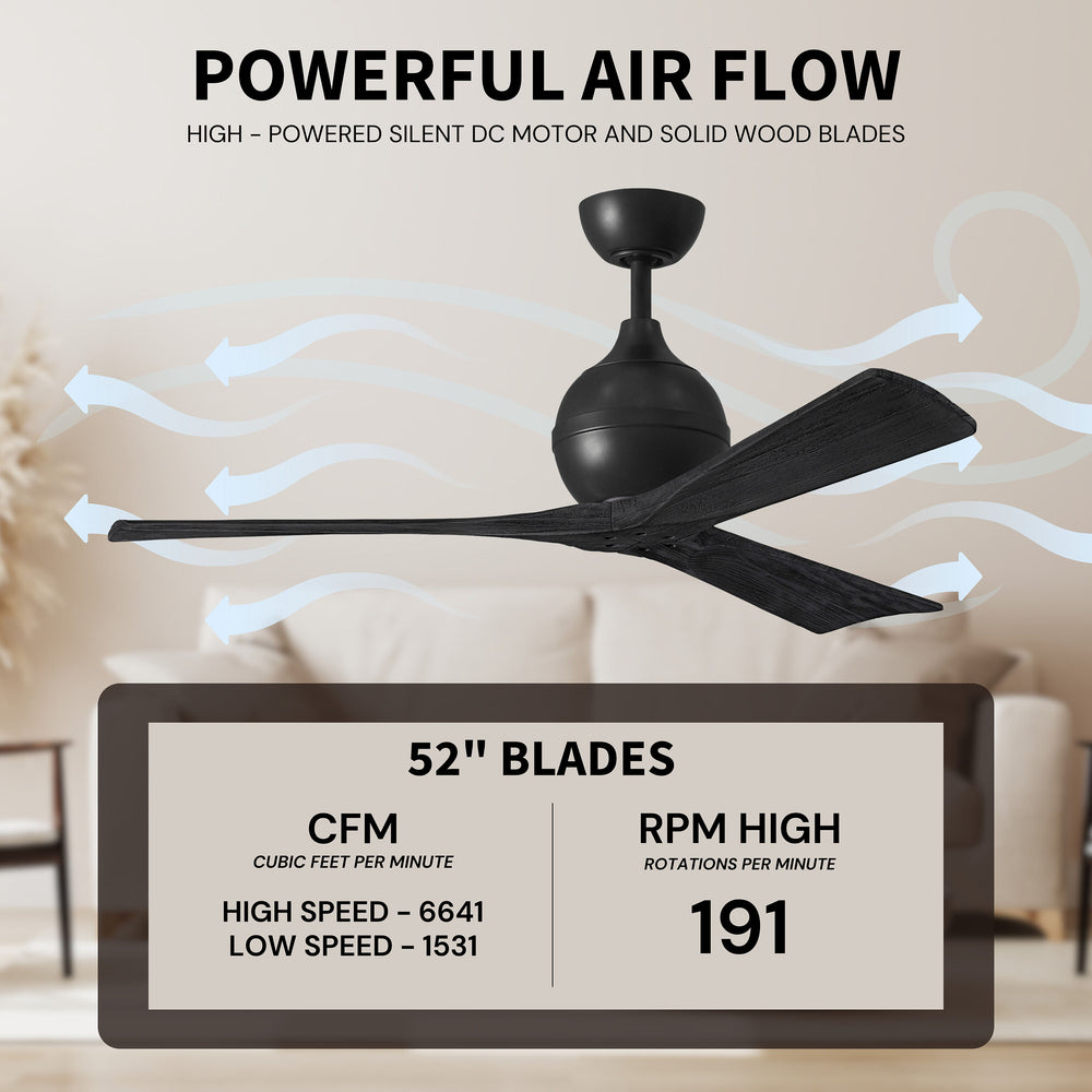 Irene 3 Ceiling Fan