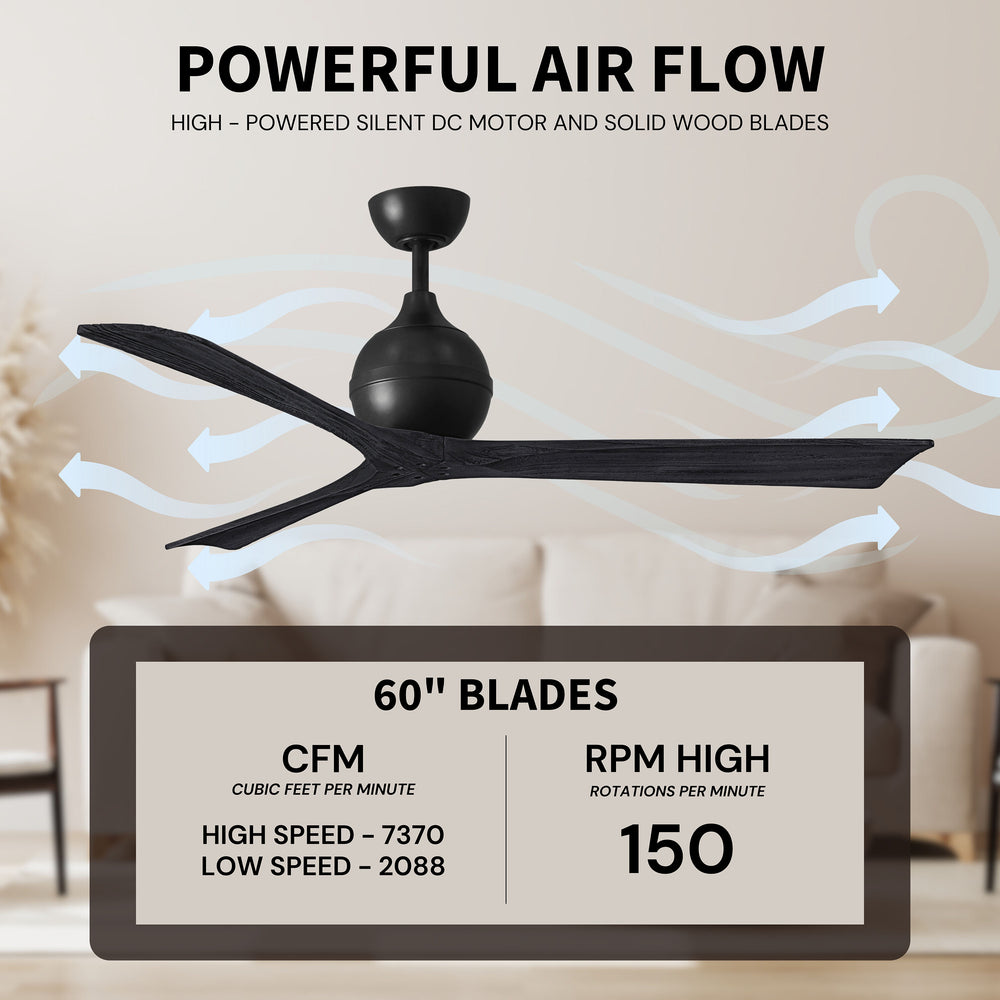 Irene 3 Ceiling Fan