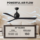 Irene 3 Ceiling Fan