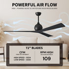 Irene 3 Ceiling Fan