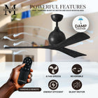 Irene 3 Ceiling Fan
