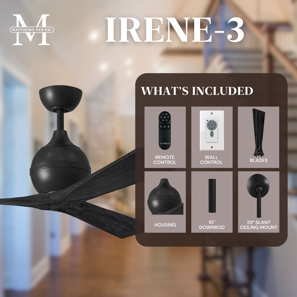 Irene 3 Ceiling Fan