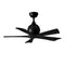 Irene 5 Ceiling Fan  option Matte Black
