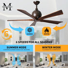 Irene 5 Ceiling Fan