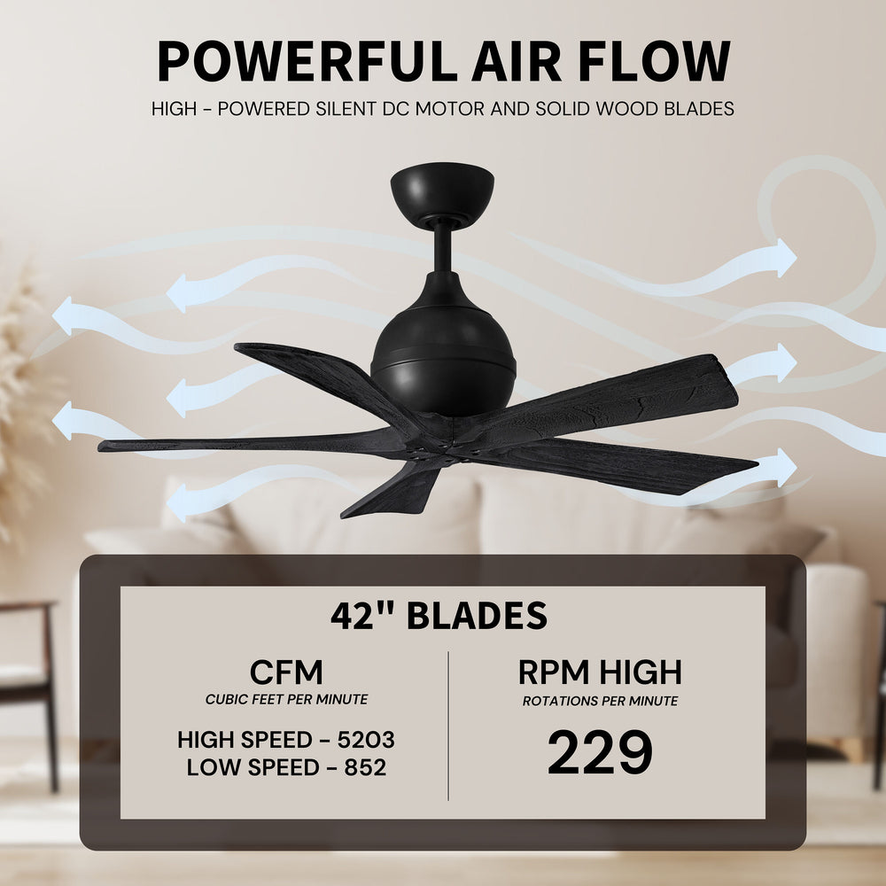 Irene 5 Ceiling Fan