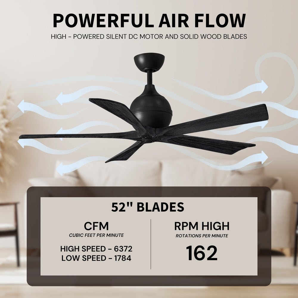 Irene 5 Ceiling Fan