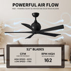 Irene 5 Ceiling Fan