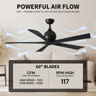 Irene 5 Ceiling Fan
