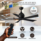 Irene 5 Ceiling Fan