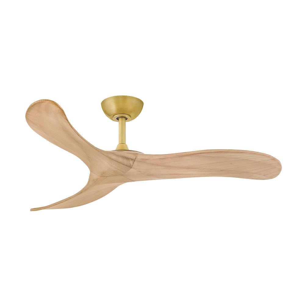 Swell Ceiling Fan