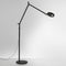 Demetra Professional LED Floor Lamp  option Matte Black