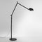 Demetra Professional LED Floor Lamp  option Matte Grey