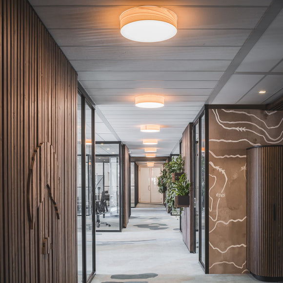 Gea 30 Sconce