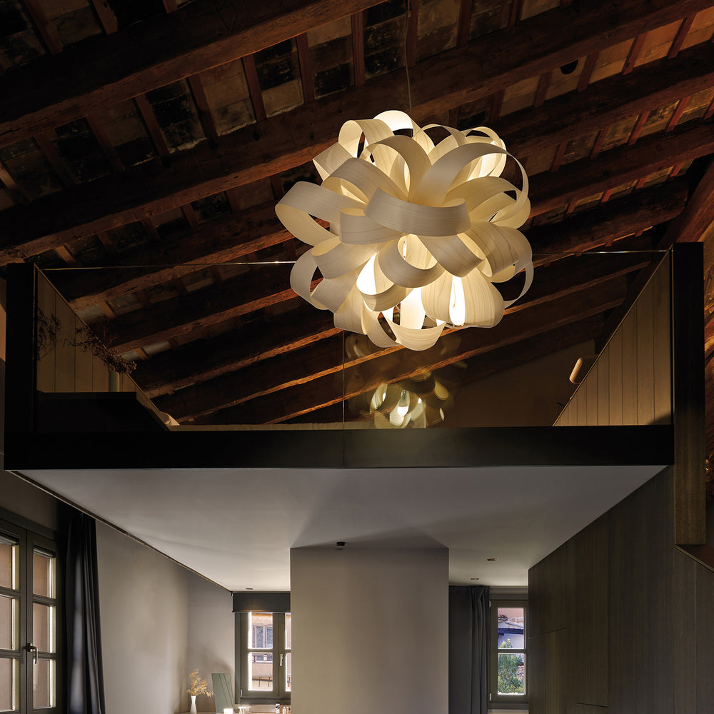 Agatha Bolla Suspension